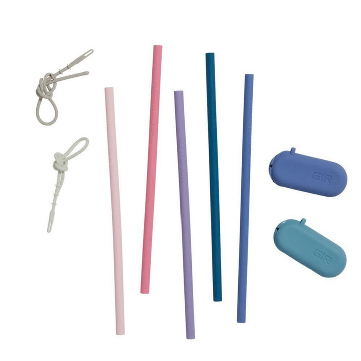 Traveler Straw Set of 5